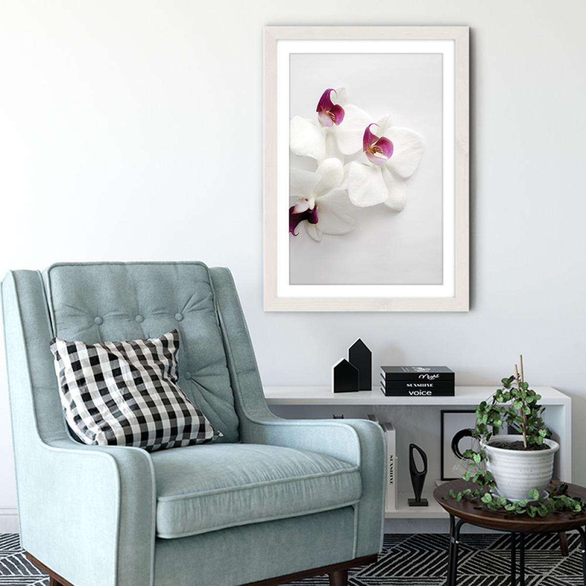 White Wild Orchid Art Print White Frame – image 4