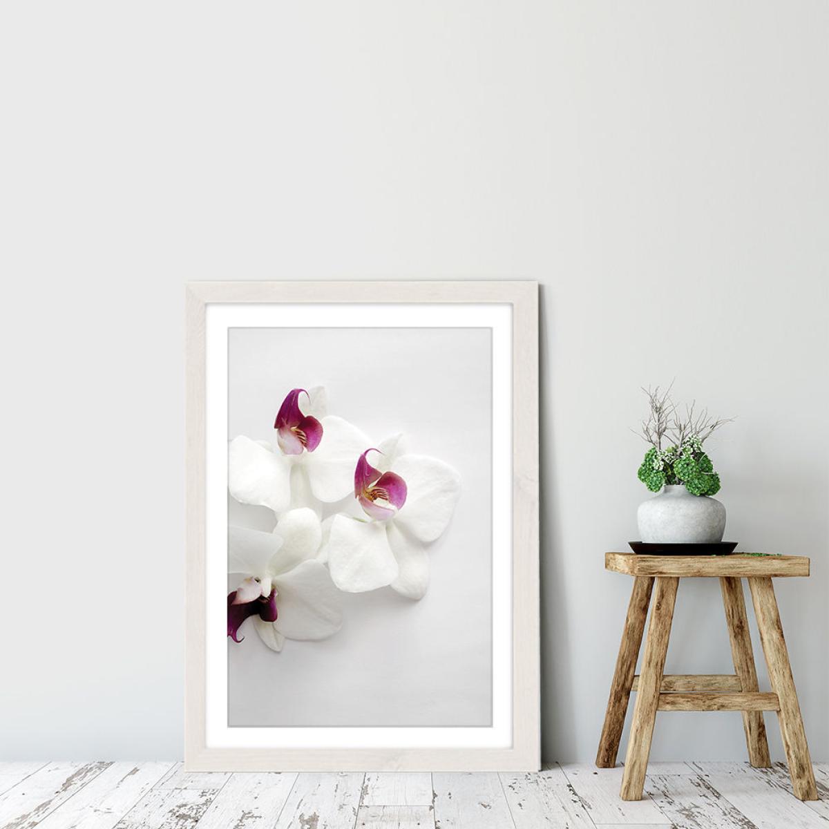 White Wild Orchid Art Print White Frame – image 5