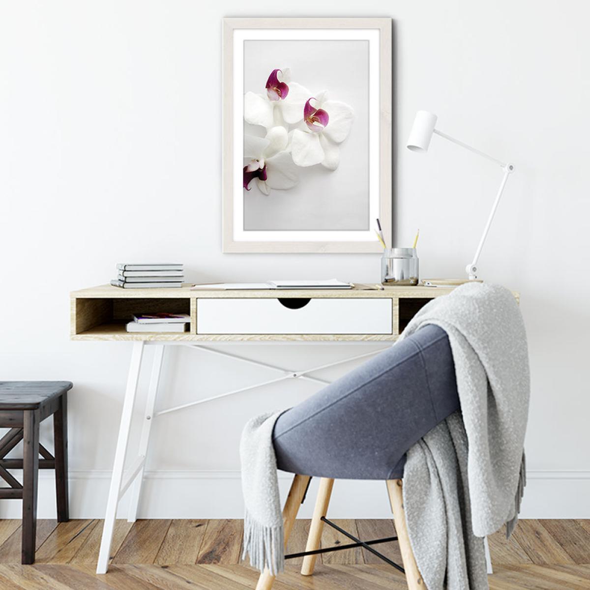 White Wild Orchid Art Print White Frame – image 6