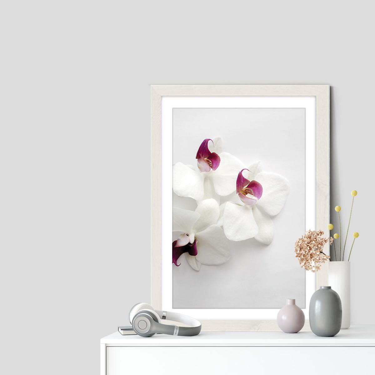 White Wild Orchid Art Print White Frame – image 7