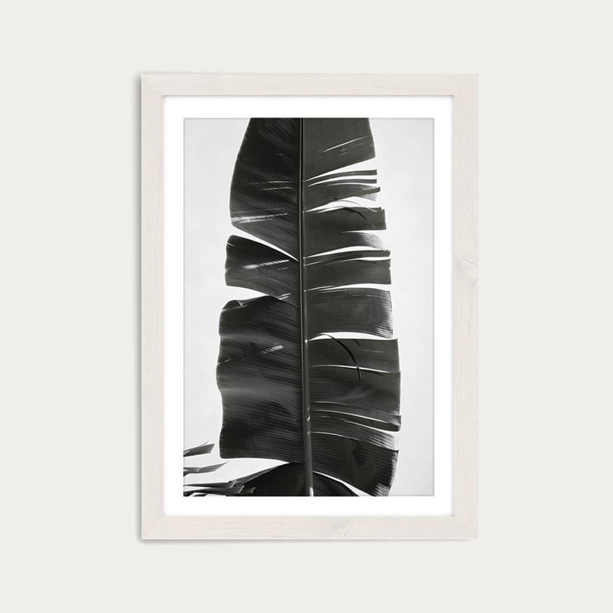 Tropical Jungle Vibes Art Print White Frame – image 1