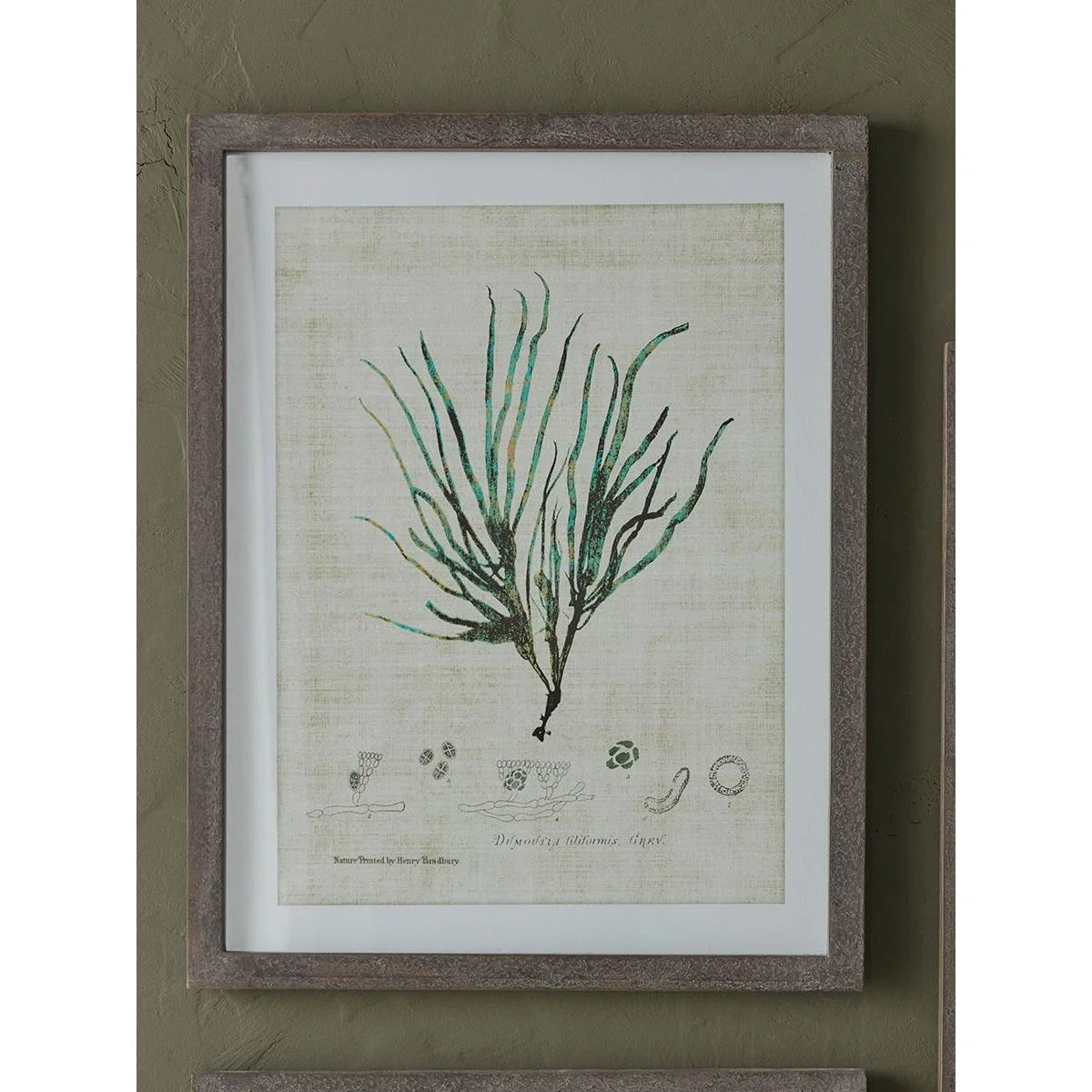 Three Botanical Wall Art Prints – image 4