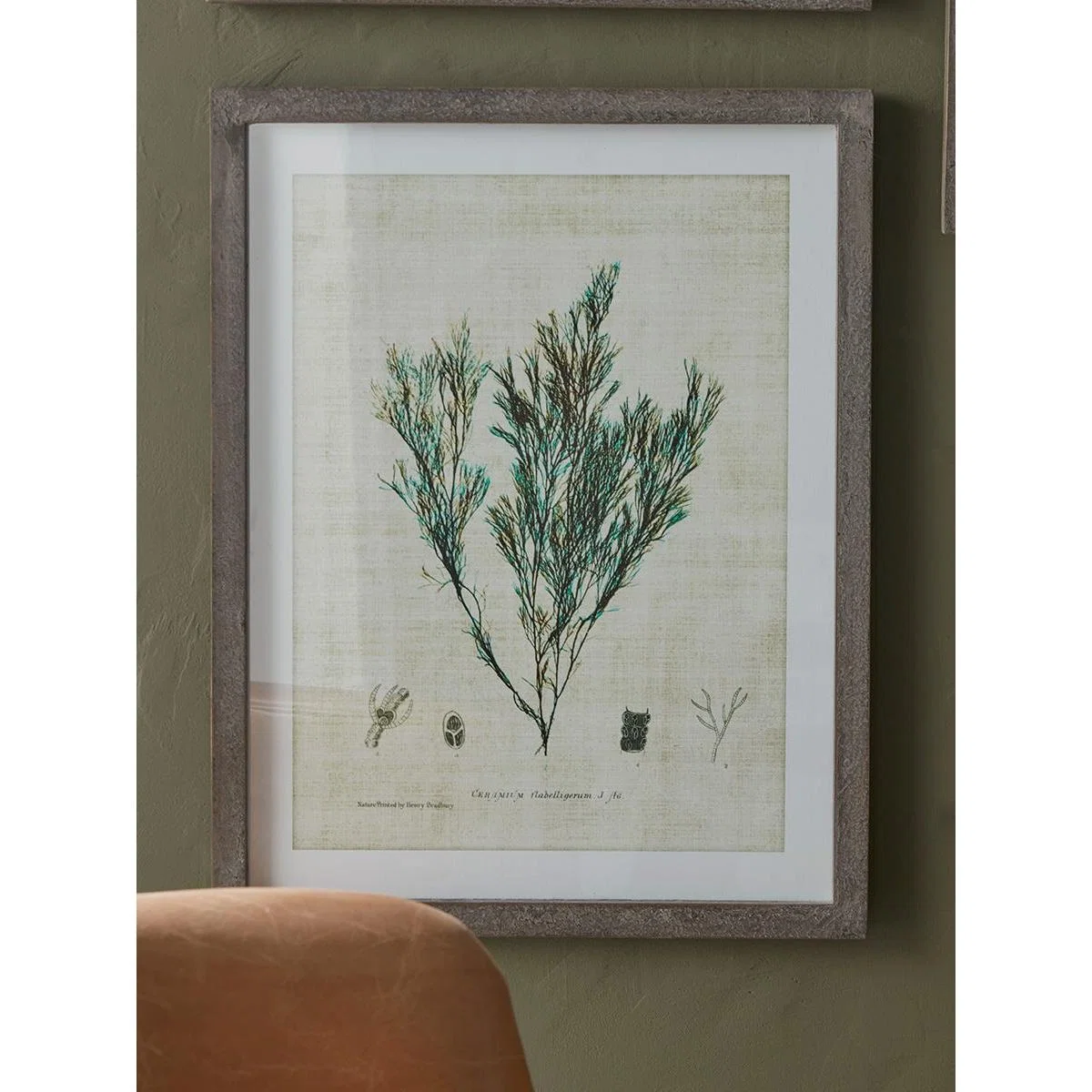 Three Botanical Wall Art Prints – image 5