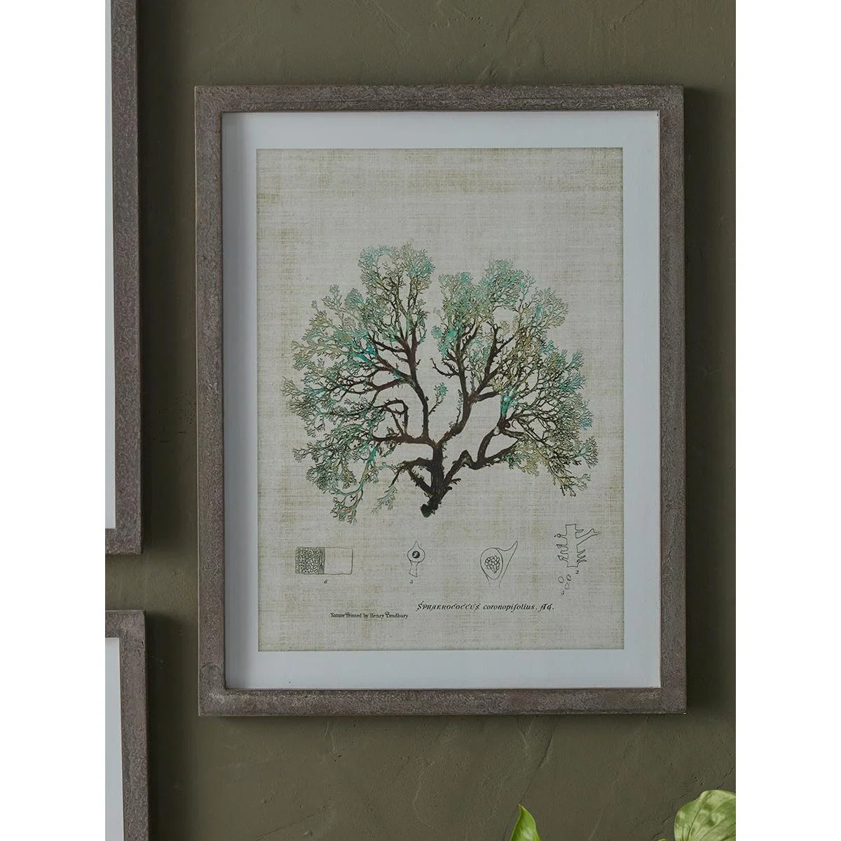 Three Botanical Wall Art Prints – image 6