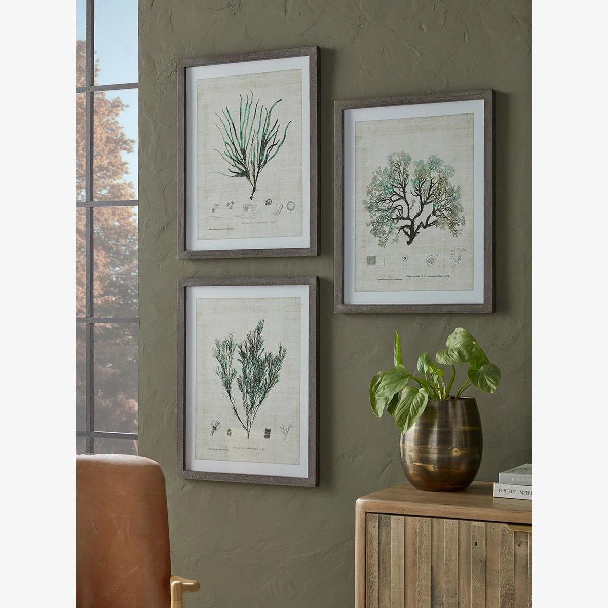 Three Botanical Wall Art Prints – image 1