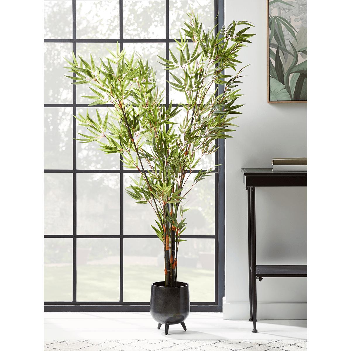NEW Tropical Palms Framed Canvas – image 2