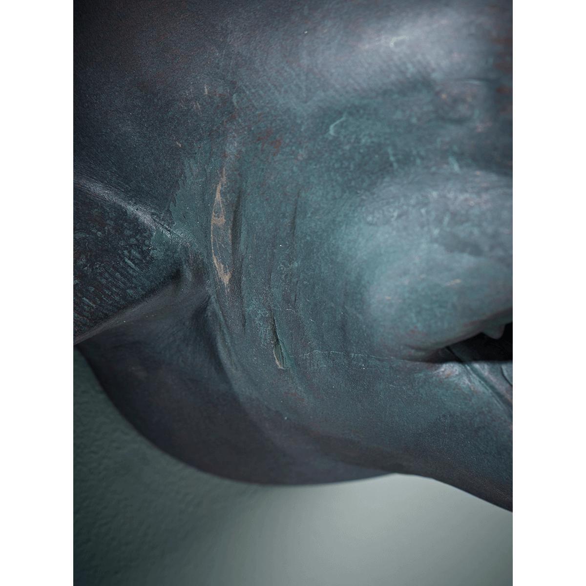 Wall Mounted Shark Head – image 3