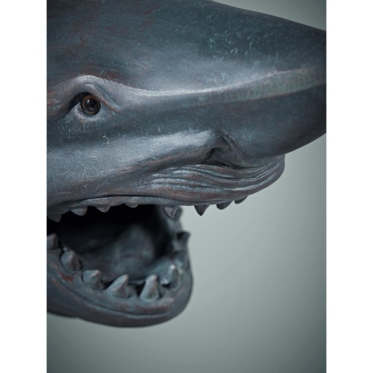 Wall Mounted Shark Head – image 4