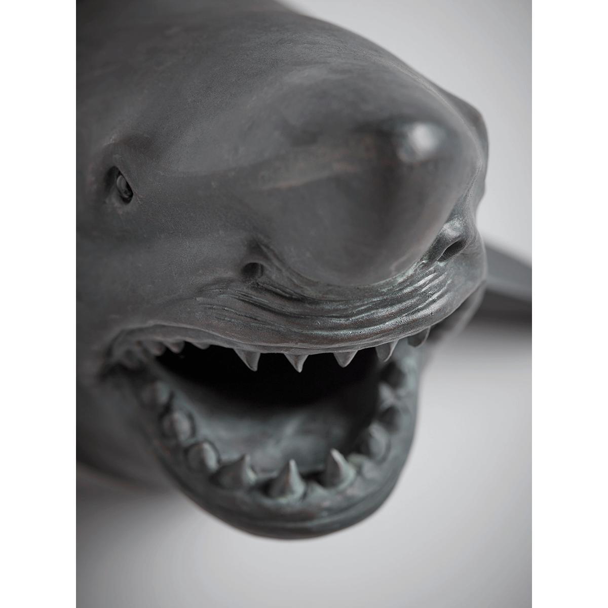 Wall Mounted Shark Head – image 5