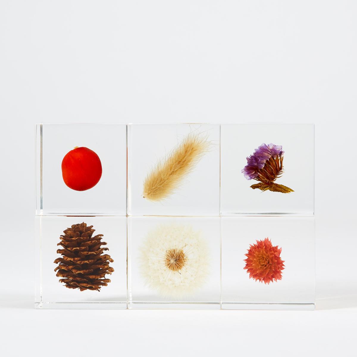 Dandelion Sola Cube – image 3