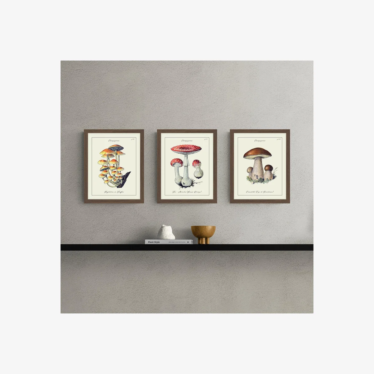 Set of 3 Champignons Framed Prints – image 1