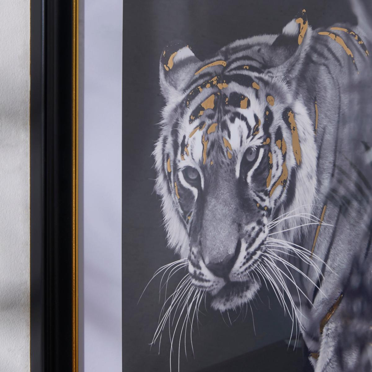 Tiger Framed Print Black – image 2