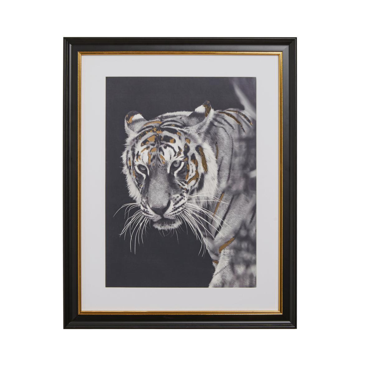 Tiger Framed Print Black – image 3