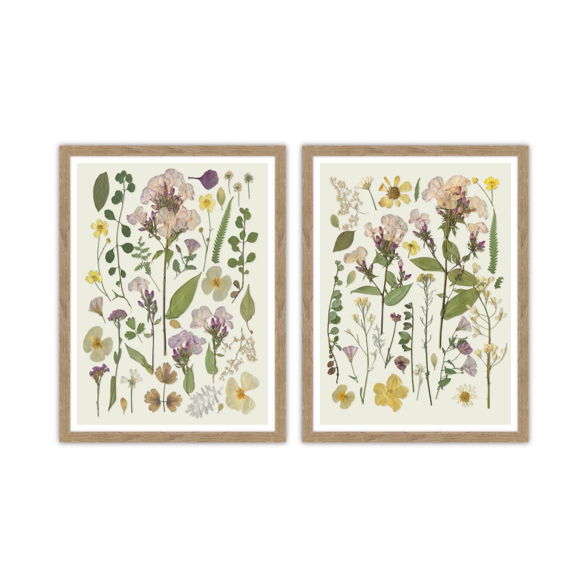 Set of 2 Pressed Flowers Framed Prints – image 2