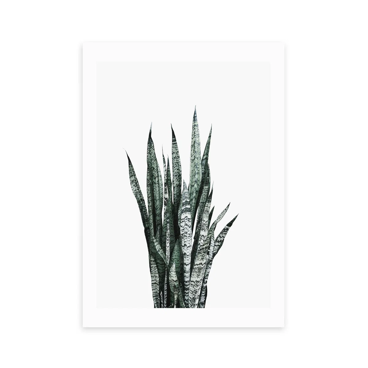 East End Prints Succulent I Print Green – image 2