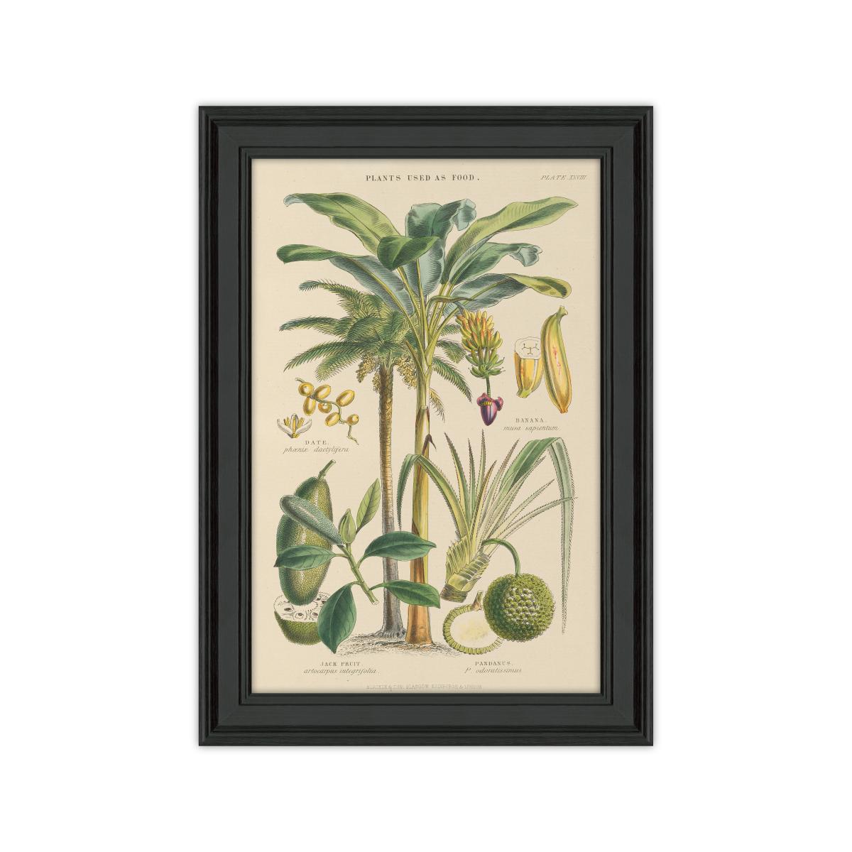 Fruit Trees I Framed Print – image 2