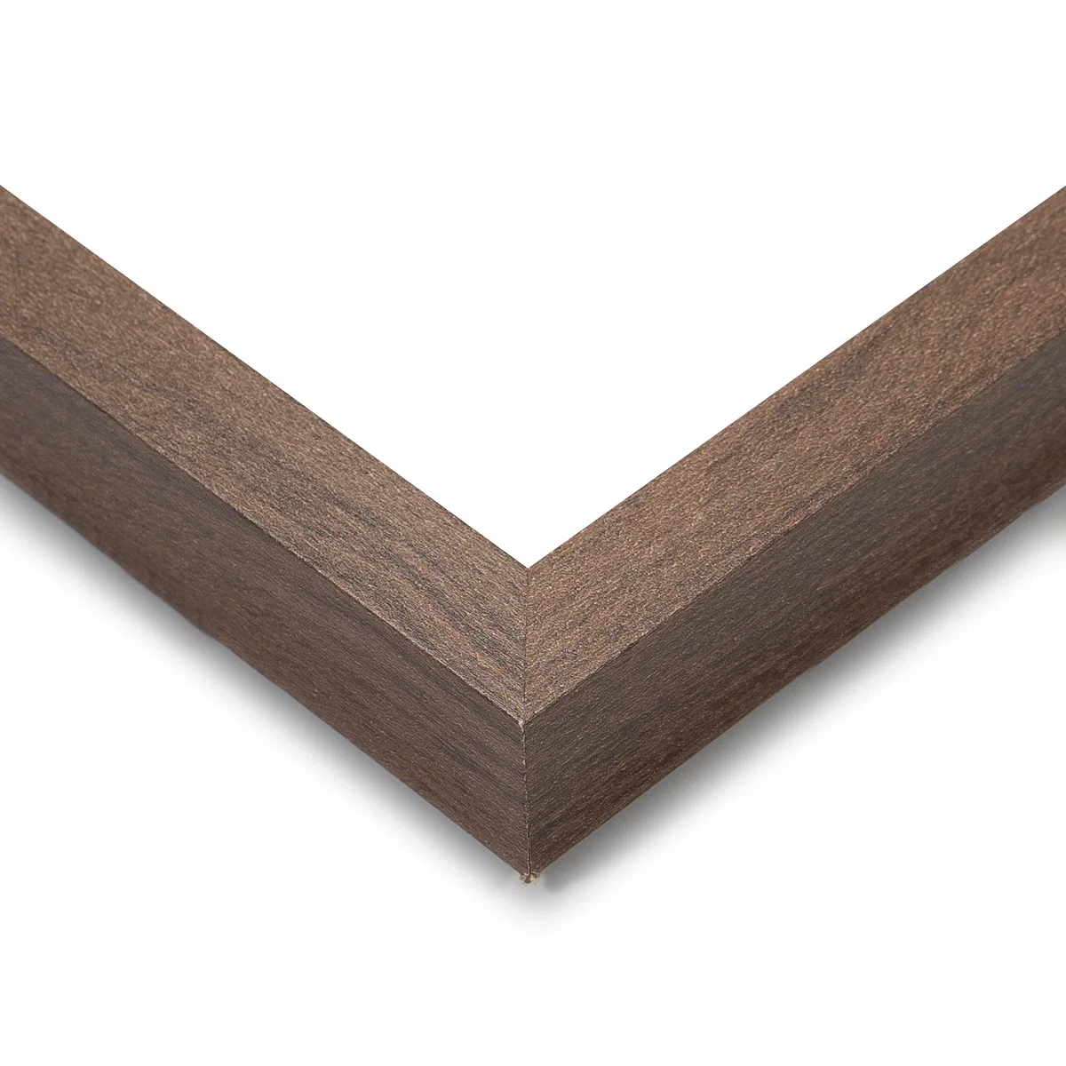 Set of 2 Vintage Moths Framed Prints – image 3