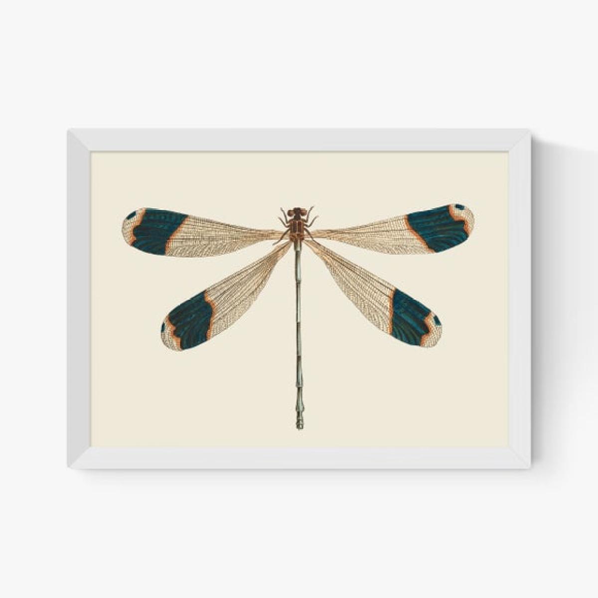 East End Prints British Dragonfly Print – image 2