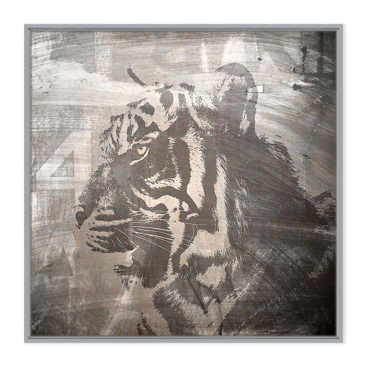 Chalk Tiger Framed Print Silver – image 2
