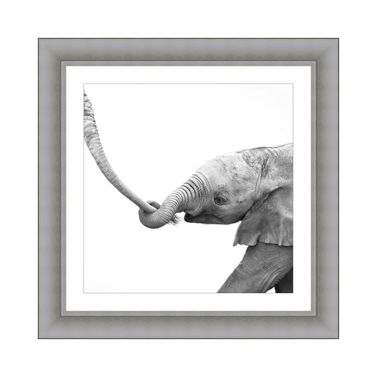 The Art Group Don't Get Lost Framed Print Black and white – image 2