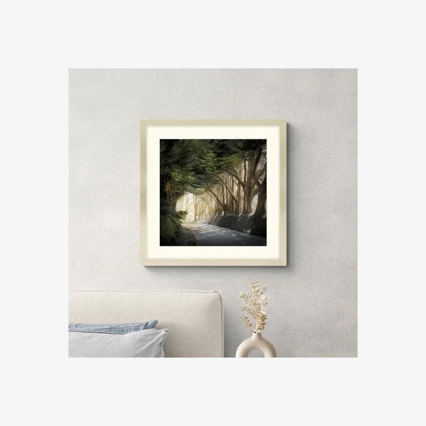 Artko Inside a Dream Framed Print – image 1