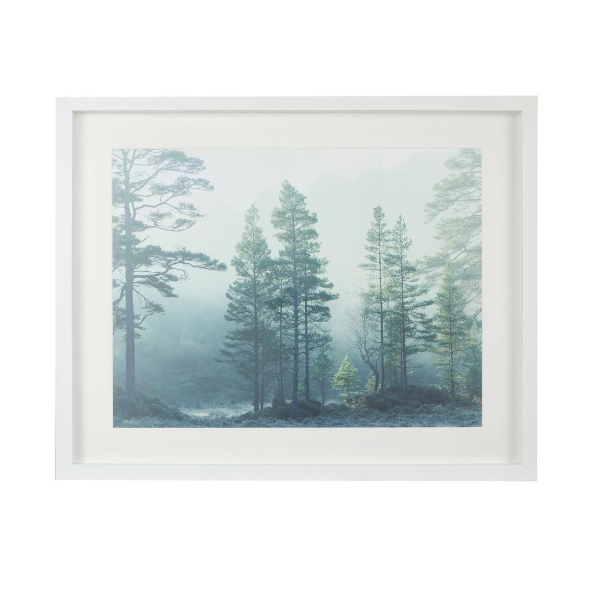 Churchgate Forest Retreat Photography and Frame White – image 2