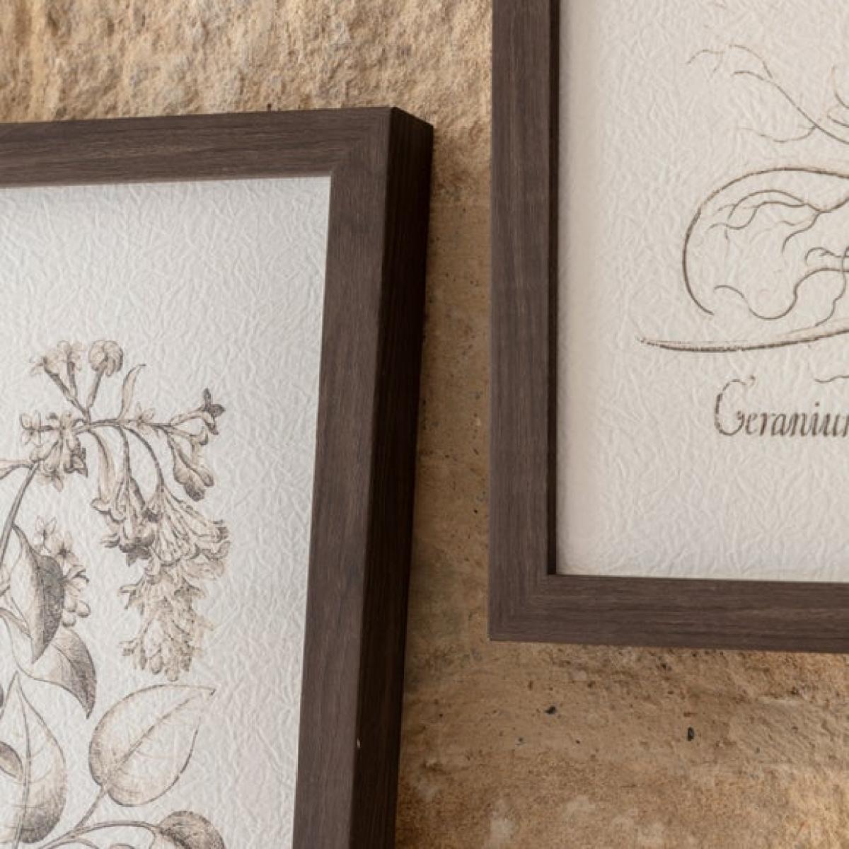 Cedar & Sage Set of 3 Evergreen Framed Prints – image 2