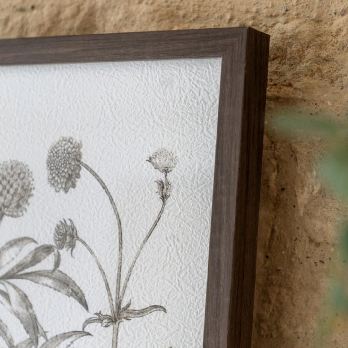 Cedar & Sage Set of 3 Evergreen Framed Prints – image 3