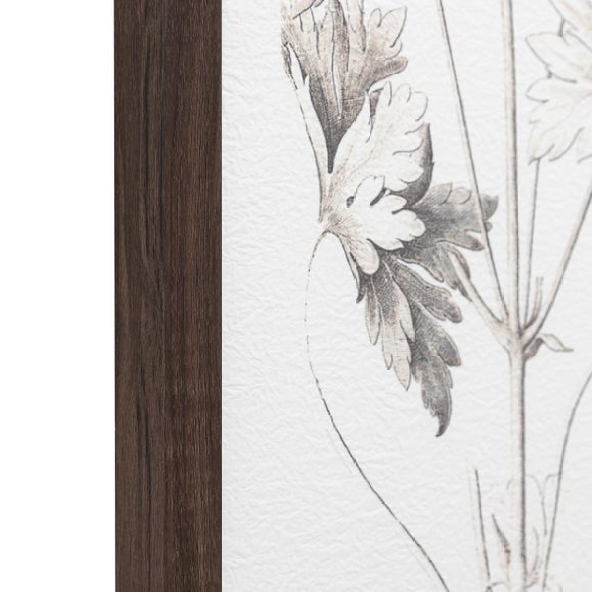 Cedar & Sage Set of 3 Evergreen Framed Prints – image 4