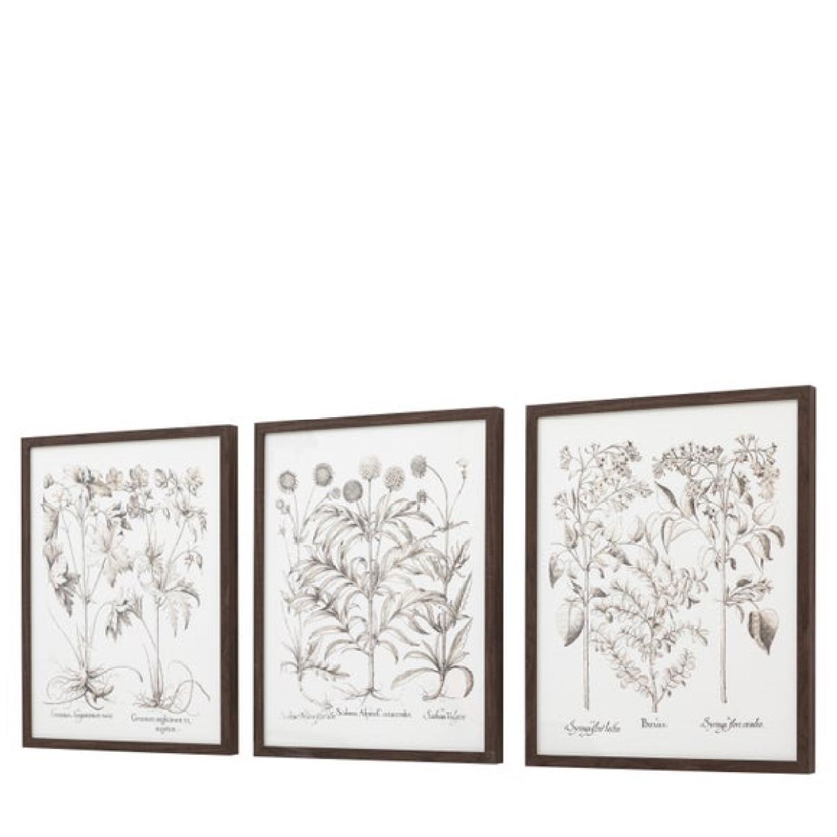 Cedar & Sage Set of 3 Evergreen Framed Prints – image 6
