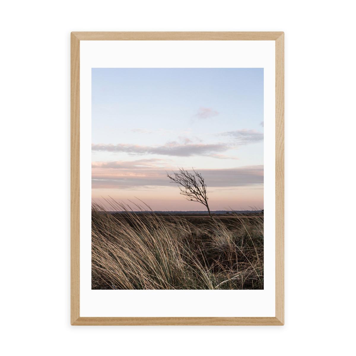 East End Prints At the Coast IV Print MultiColoured – image 2