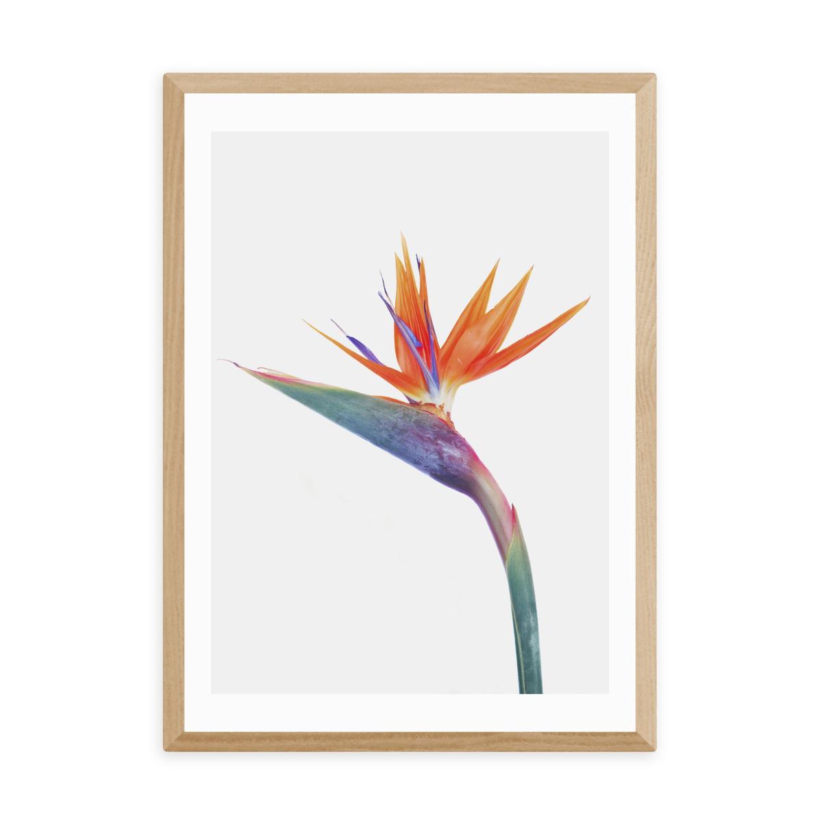 East End Prints Exuberance Print MultiColoured – image 2