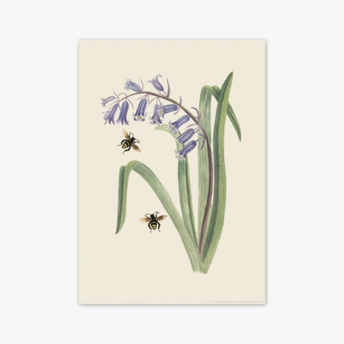 East End Prints Bee & Wild Hyacinth Print – image 2