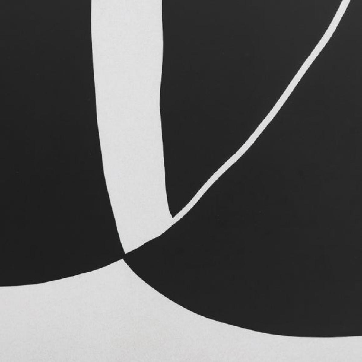 Cedar & Sage Abstract Noir et Blanc Framed Print – image 3