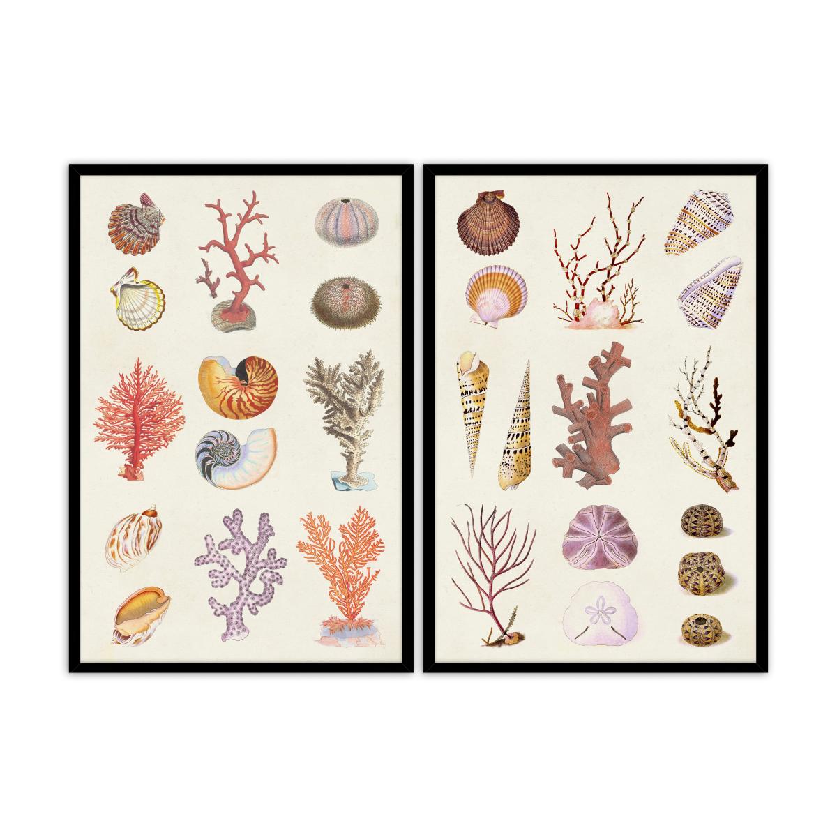 Set of 2 Coral and Shell Collage Framed Prints MultiColoured – image 2