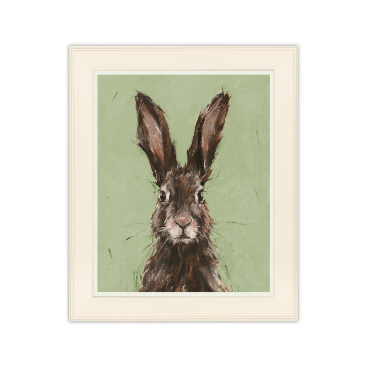 European Hare Framed Print – image 2
