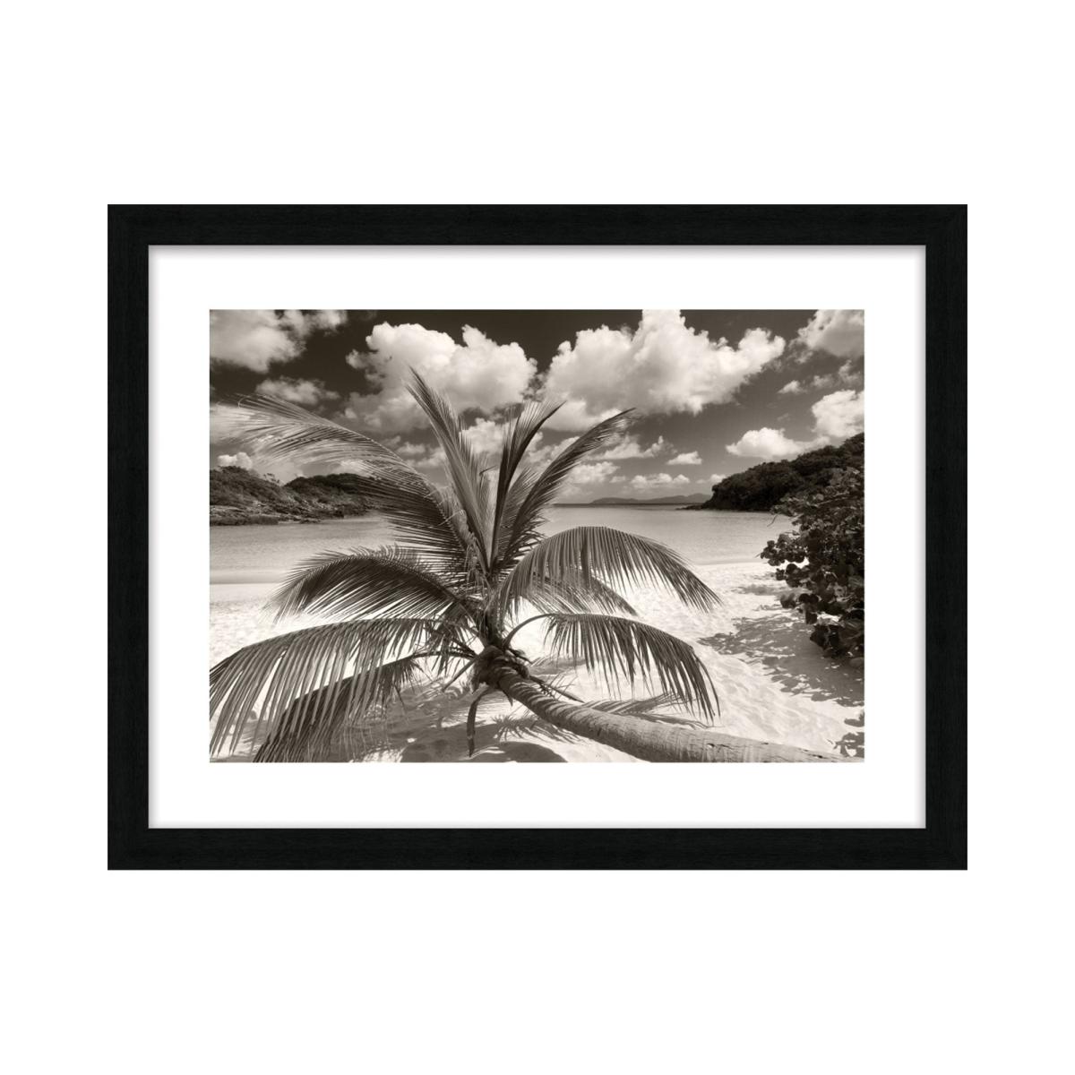 The Art Group Still Growing To The Sun Framed Print Black and white – image 2