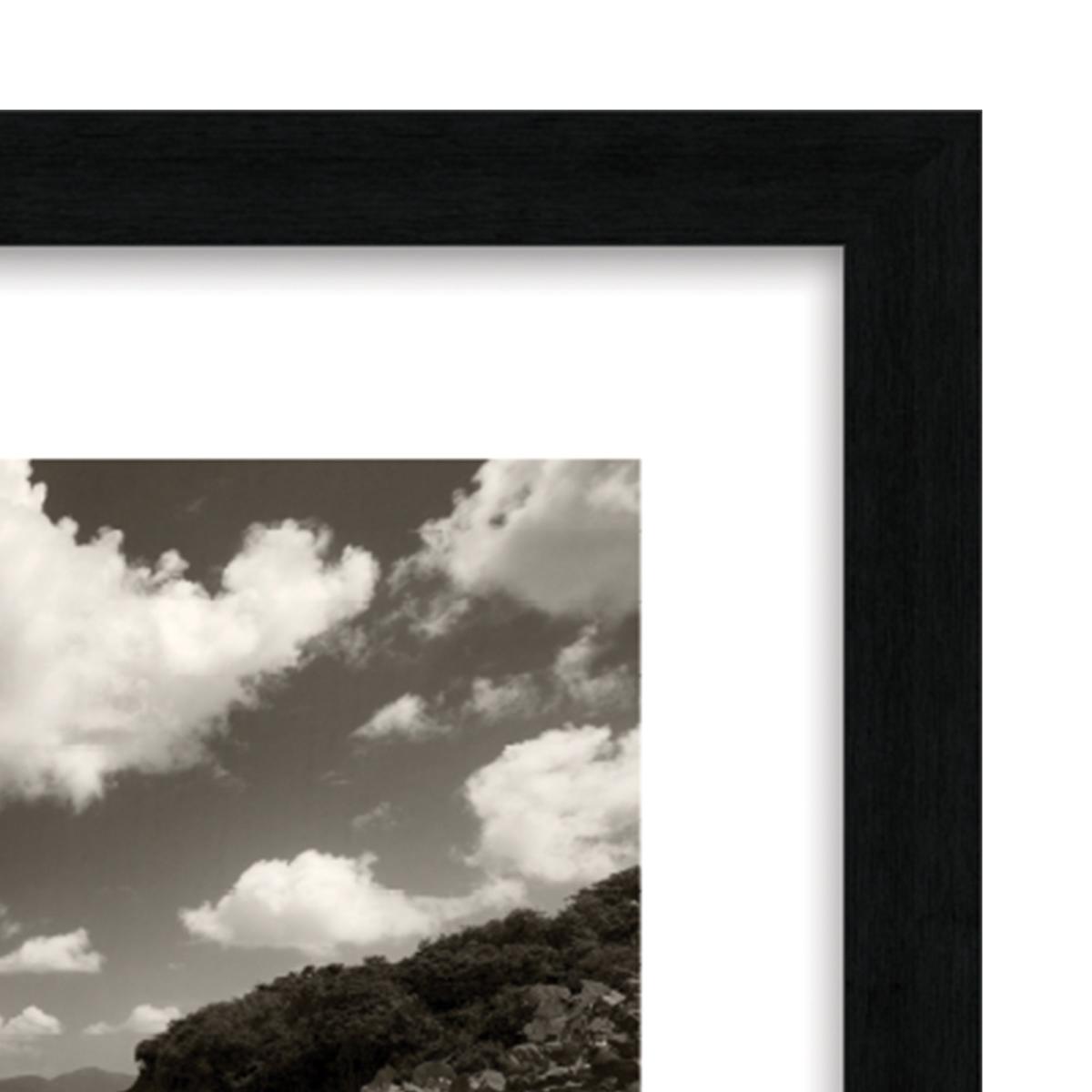 The Art Group Still Growing To The Sun Framed Print Black and white – image 3