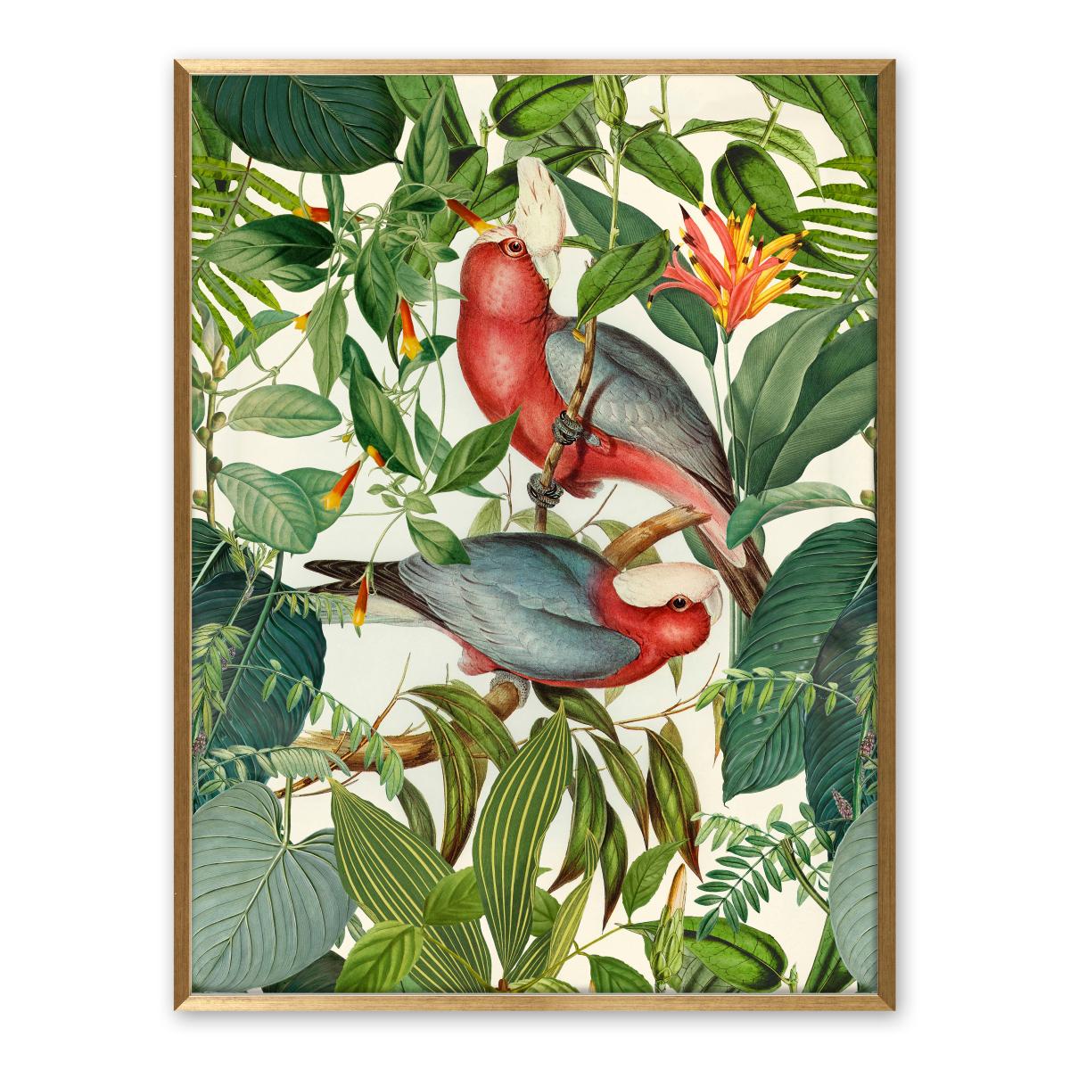 Tropical Birds by andrea Haase Framed Print MultiColoured – image 2