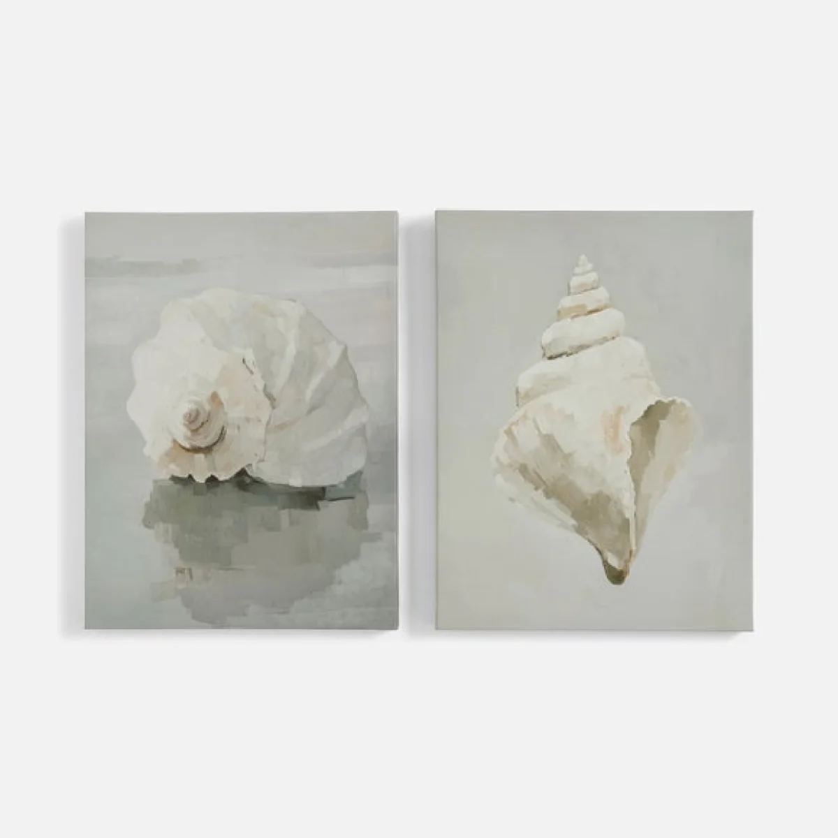Set of 2 Shells Framed Canvases – image 3