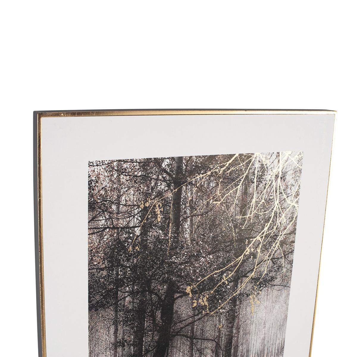 Mono Forest Trail Canvas Print White/Black – image 4
