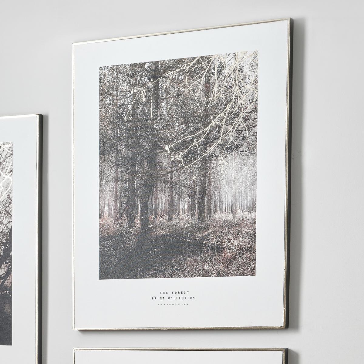 Mono Forest Trail Canvas Print White/Black – image 1