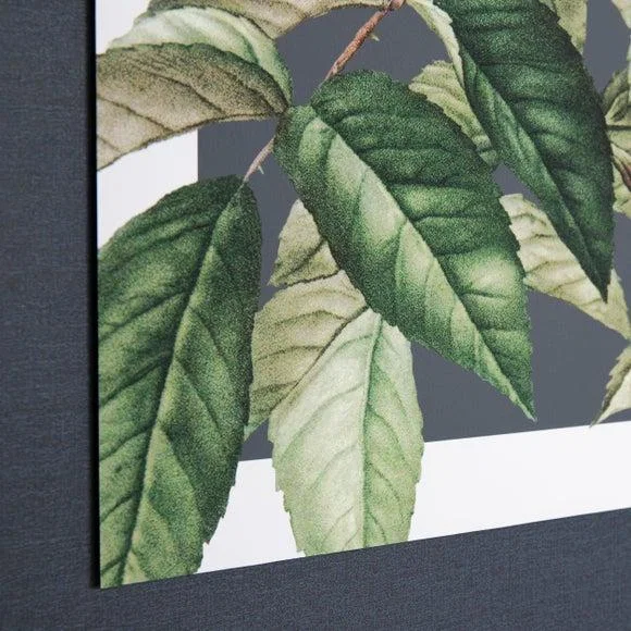 Cedar & Sage Rosa Moschata Framed Canvas – image 2