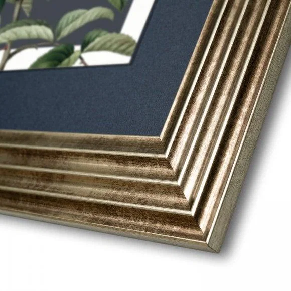 Cedar & Sage Rosa Moschata Framed Canvas – image 3