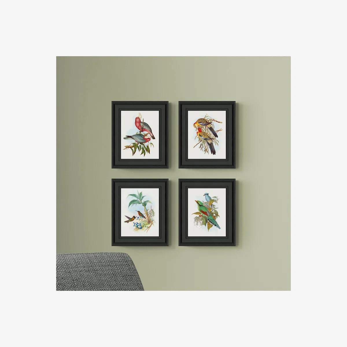 Set of 4 Bird Illustrations Framed Prints – image 1