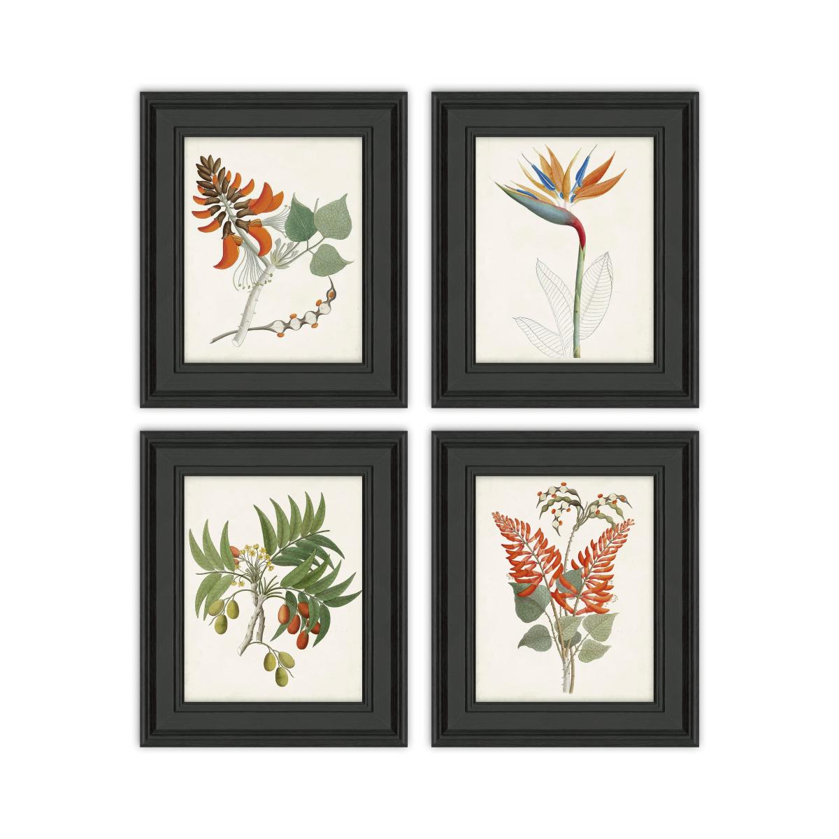 Set of 4 Botanical Tropics Framed Prints MultiColoured – image 2