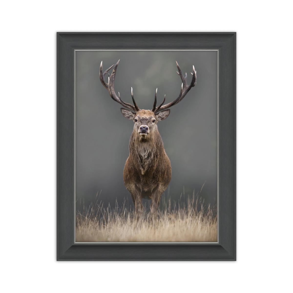 Lord of the Manor Stag Framed Print Grey – image 2