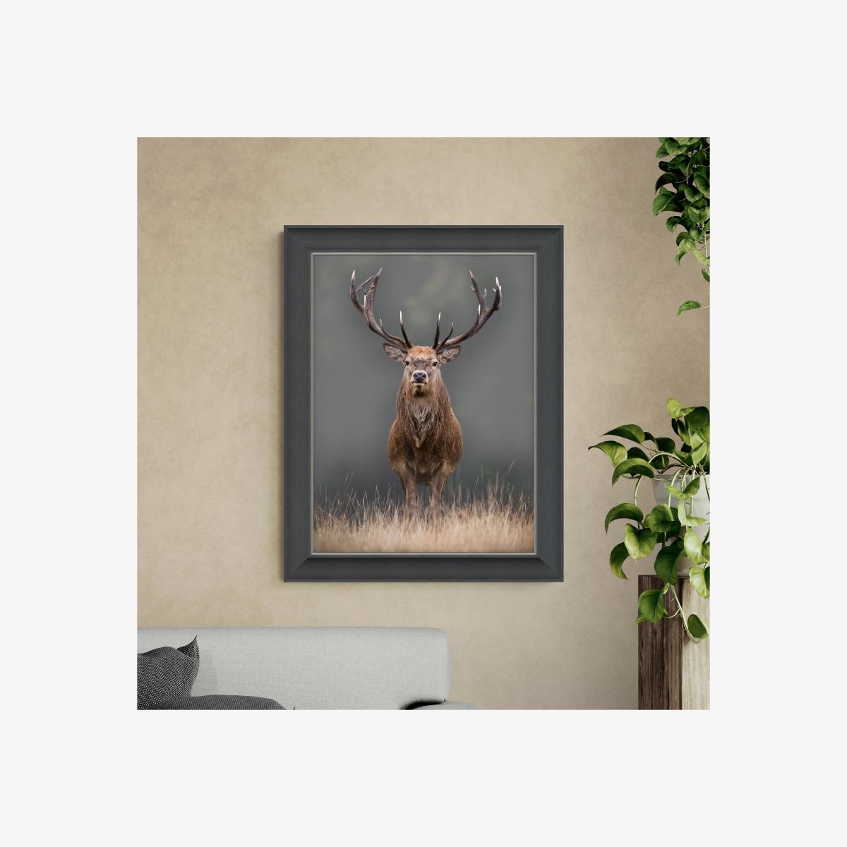 Lord of the Manor Stag Framed Print Grey – image 1