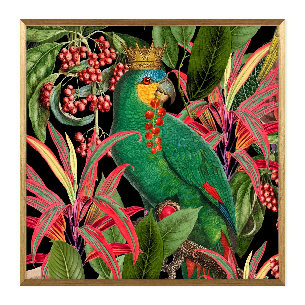Parrot King II Framed Print Gold – image 2