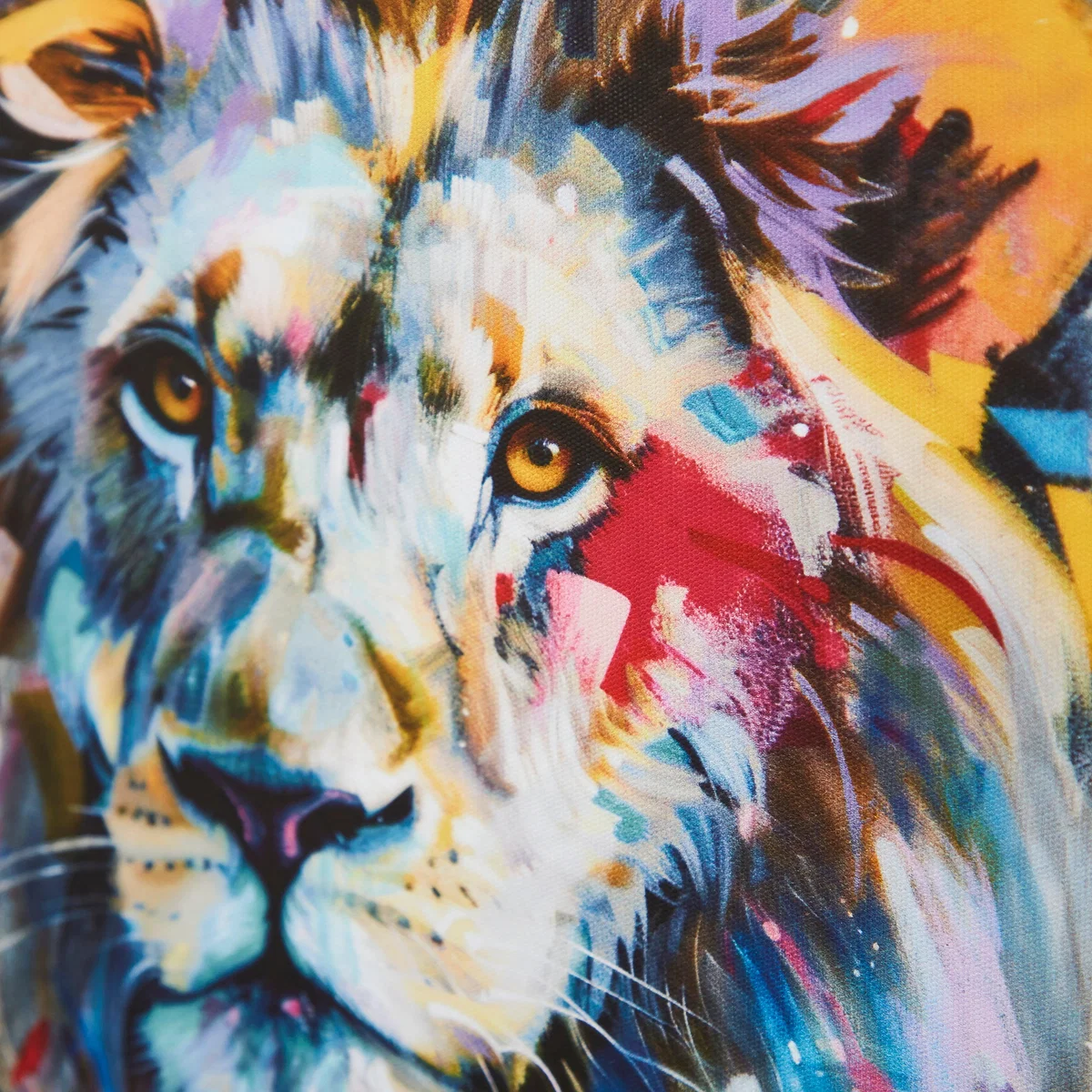 Set of 2 Colourful Animals Framed Canvases – image 2
